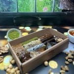 Hoşgeldin Paketi 500 gr. - Görsel 2