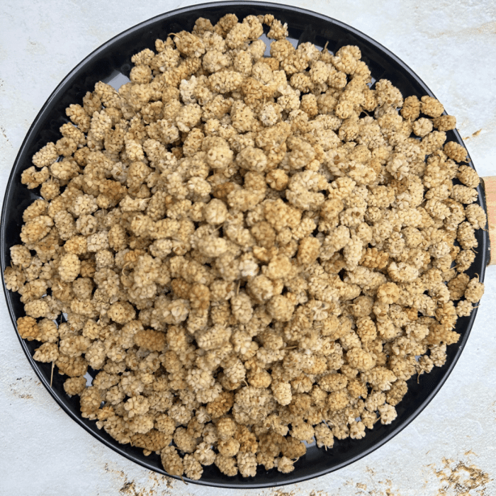 Çekirdekli Dut Kurusu - Görsel 2