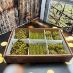 Fıstık Şöleni - Görsel 2