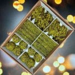 Fıstık Şöleni - Görsel 3