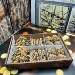 Fındık Şöleni - Görsel 4