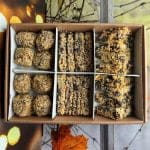 Fındık Şöleni - Görsel 5